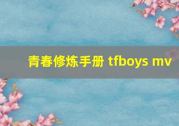 青春修炼手册 tfboys mv